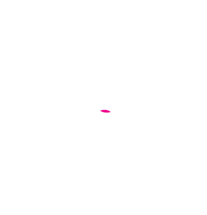 Joy Nepal