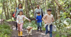 How 20 minutes of nature can boost your health